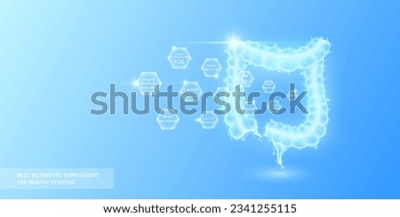 Probiotics multivitamins with fiber in hexagon absorbed into the intestine. Best nutrients supplement for healthy intestine. Health care medical innovation. Human organ translucent low poly. Vector. Royalty-Free Stock Photo #2341255115