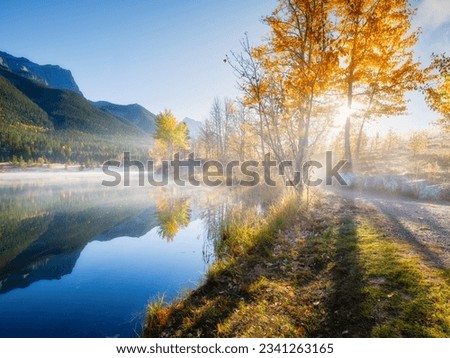 Landscape during sunrise. Autumn trees on the river bank. Sunlight through the trees. Mountains and forest. Natural landscape. Banff National Park, Alberta, Canada. 