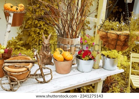 Decor outdoor of autumn yard and on the terrace . House decorated for autumn holidays. Halloween decorations. 