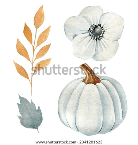 Flower, Pumpkin and leaf watercolor illustration, hand drawing, autumn set of elements on isolated white background