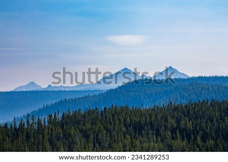 A blue mountain scene with lots of pine trees from the Sawtooth Mountains in Idaho
