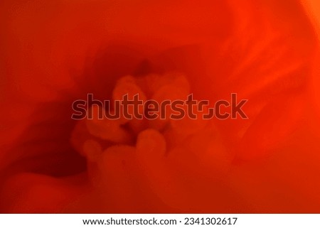 Close up of red bud. Extreme macro shot of pink, red flower plant. Colorful background texture picture.