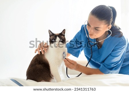 Veterinary Cardiology. Nurse woman at vet cinic conducting routine heart health screening for cat, listening to pet's heart. Veterinarian examining domestic animal with stethoscope during check up Royalty-Free Stock Photo #2341311763