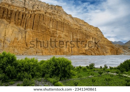Vegetation and Flowers alongside Desert of Upper Mustang with Man Made Caves in Chhusang Village, Nepal