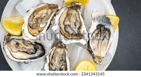 oysters fresh seafood healthy meal food snack on the table copy space food background rustic top view pescatarian diet Royalty-Free Stock Photo #2341343145