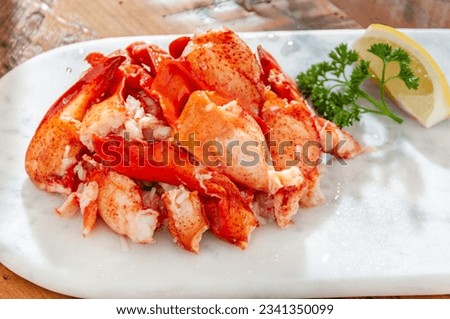Knuckle and Claw Lobster Meat, Pound of Cooked Maine Lobster Meat, Fresh Maine Lobster Meat Royalty-Free Stock Photo #2341350099