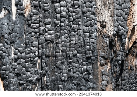 black charred texture of burnt old wood