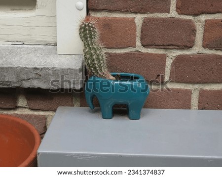 a flowerpot of a blue ceramic elephant with a cactus