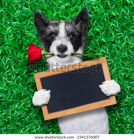 dog with rose in mouth, holding an empty blank blackboard as a banner