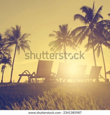 Row deckchairs on beach at sunset, with natural light flare in vintage toned.