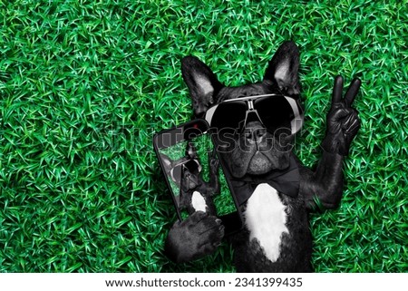 dog taking a selfie on a meadow with peace and victory fingers
