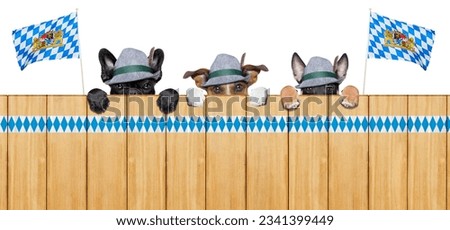 three bavarian dogs behind a fence