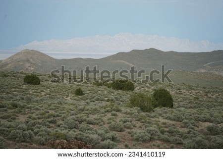 Great Basin Desert Landscape - High Desert Sagebrush, Mountain Background Royalty-Free Stock Photo #2341410119