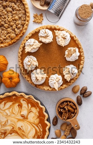 Variety of traditional Thanksgiving pies on light background, pumpkin and pecan pies