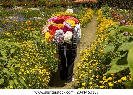 Medellín is partying, the flower fair returns with the parade of silleteros Royalty-Free Stock Photo #2341460187