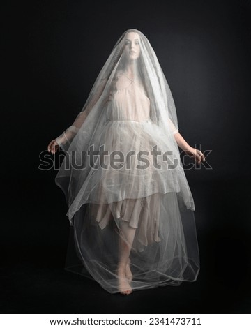 Full length portrait of beautiful woman wearing white gown dress with flowing ghostly veiled fabric, isolated on dark studio background. Royalty-Free Stock Photo #2341473711