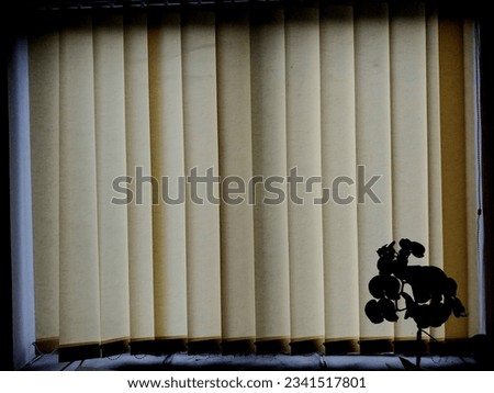 Jember City, East Java, Indonesia - August 2nd 2023 : A Closed Window with Curtains and A Flower Silhouette from It