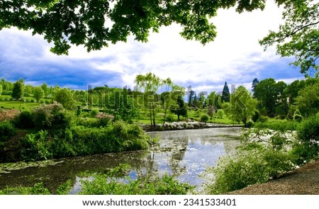Amazing natural picture beautiful land scape image of nature