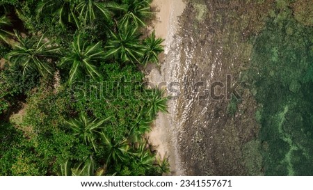 Top down drone photography of a beautiful beach full of vegetation with palm trees in Puerto Viejo, Costa Rica