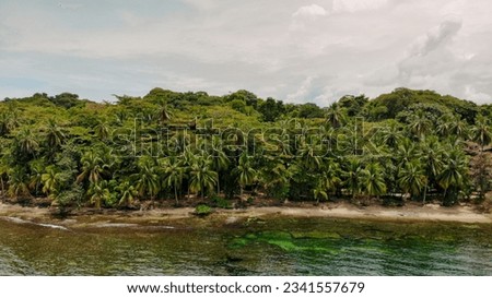 Aerial drone photography of a beautiful beach full of vegetation with palm trees in Puerto Viejo, Costa Rica
