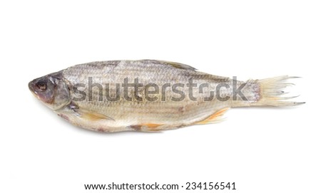 Dried fish for food on a white background