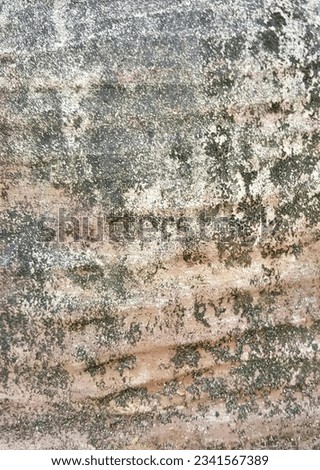a photography of a wall with a lot of dirt and some green stuff, wall with a lot of dirt and some green stuff. Royalty-Free Stock Photo #2341567389