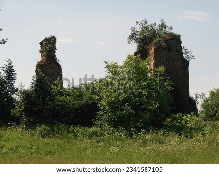 ruins of Mnishek Castle XVII century                                  