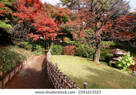 Autumn scenery of a Japanese garden in Tokyo Metropolitan Teien Art Museum, with a gravel pathway winding through a forest and fiery foliage of maple trees in a peaceful zen atmosphere