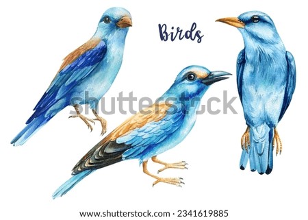 Birds set. Watercolor hand painted illustration isolated on white background. Blue bird, Roller, Coracias garrulus
