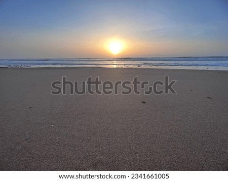 Sunset at sea with birds flying. Panoramic beach landscape.