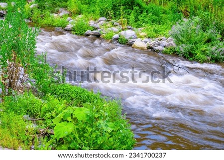 country side wild river stream true the forest and mountains