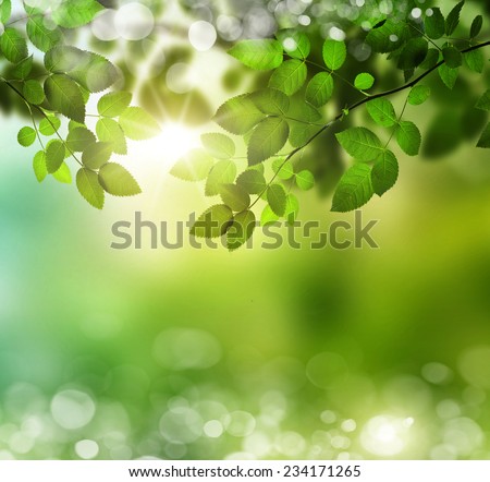 Spring or summer season abstract nature background