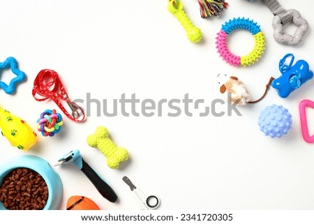 Flat lay composition with pet care and training accessories on white background.
