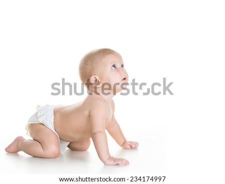 beauty baby on white background