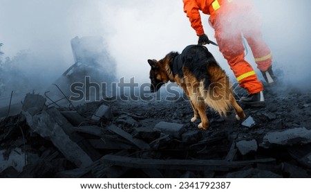 Search and rescue forces search through destroyed building with the help of rescue dogs