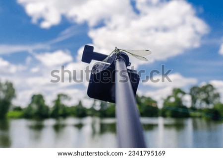 Dragonfly sits on a tripod action camera in nature. Shooting nature action camera. Interesting insects