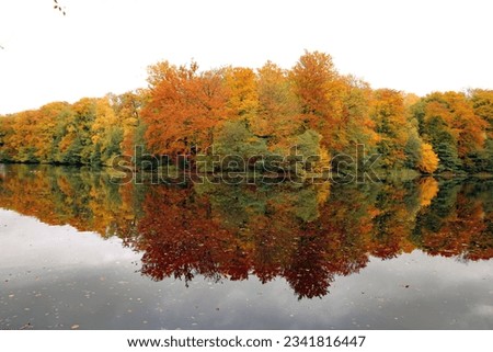 Small lake surrounded by forest in automn colors. Trees mirrored in the water