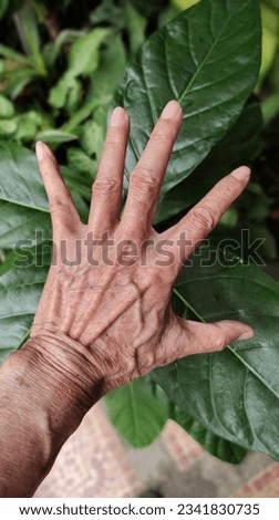 The old man hand image was taken for showing the pattern and texture wrinkled skin.