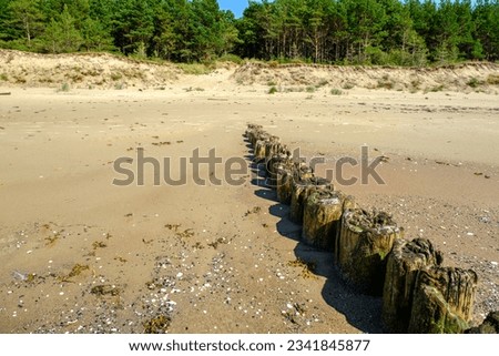Wooden breakwater poles on a sunny day, on the coast of the Baltic Sea, Latvia. Helps reduce wave power and coastal erosion. Latvia.