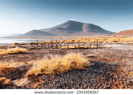 High-altitude lake and volcanoes in Altiplano plateau, Bolivia. South America summer landscape Royalty-Free Stock Photo #2341858367