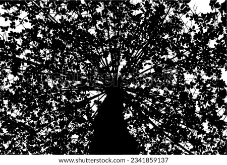 silhouette of autumn leaves view from below, looking up. isolated on transparent background