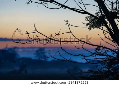 Sunrise, the first light of the year at the highest view point in Thailand