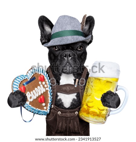 bavarian oktoberfest dog with beer mug and gingerbread heart