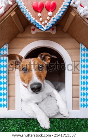 dog inside a bavarian house or beer tent