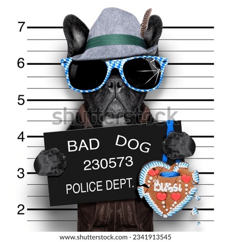 mugshot bavarian dog with a police banner