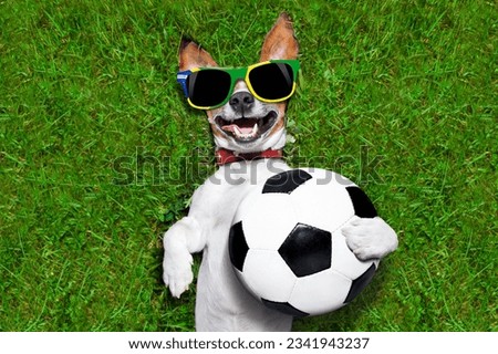 brazil soccer dog holding a ball and laughing out loud on football field
