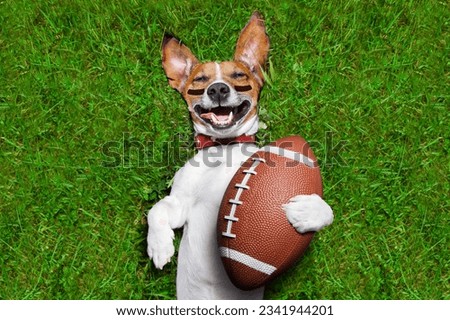 soccer dog holding a rugby ball and laughing out loud