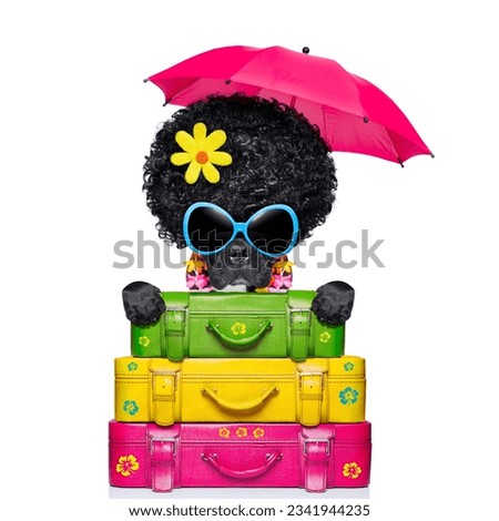 dog on holidays with umbrella and lot of luggage