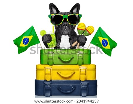dog on holidays with brazilian flags and a lot of luggage