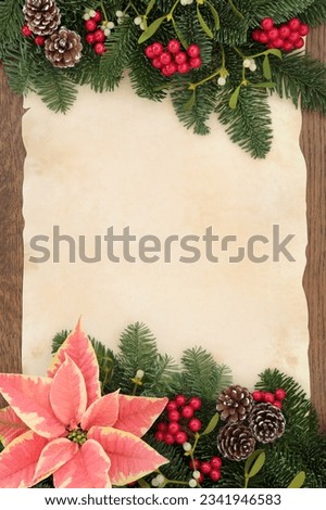 Christmas and winter flora with poinsettia flower, red berry baubles, mistletoe and spruce fir over parchment paper and oak wood background.